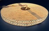 LED Strip Waterproof IP68 8 Watts 3000k White 10 Metres 24V